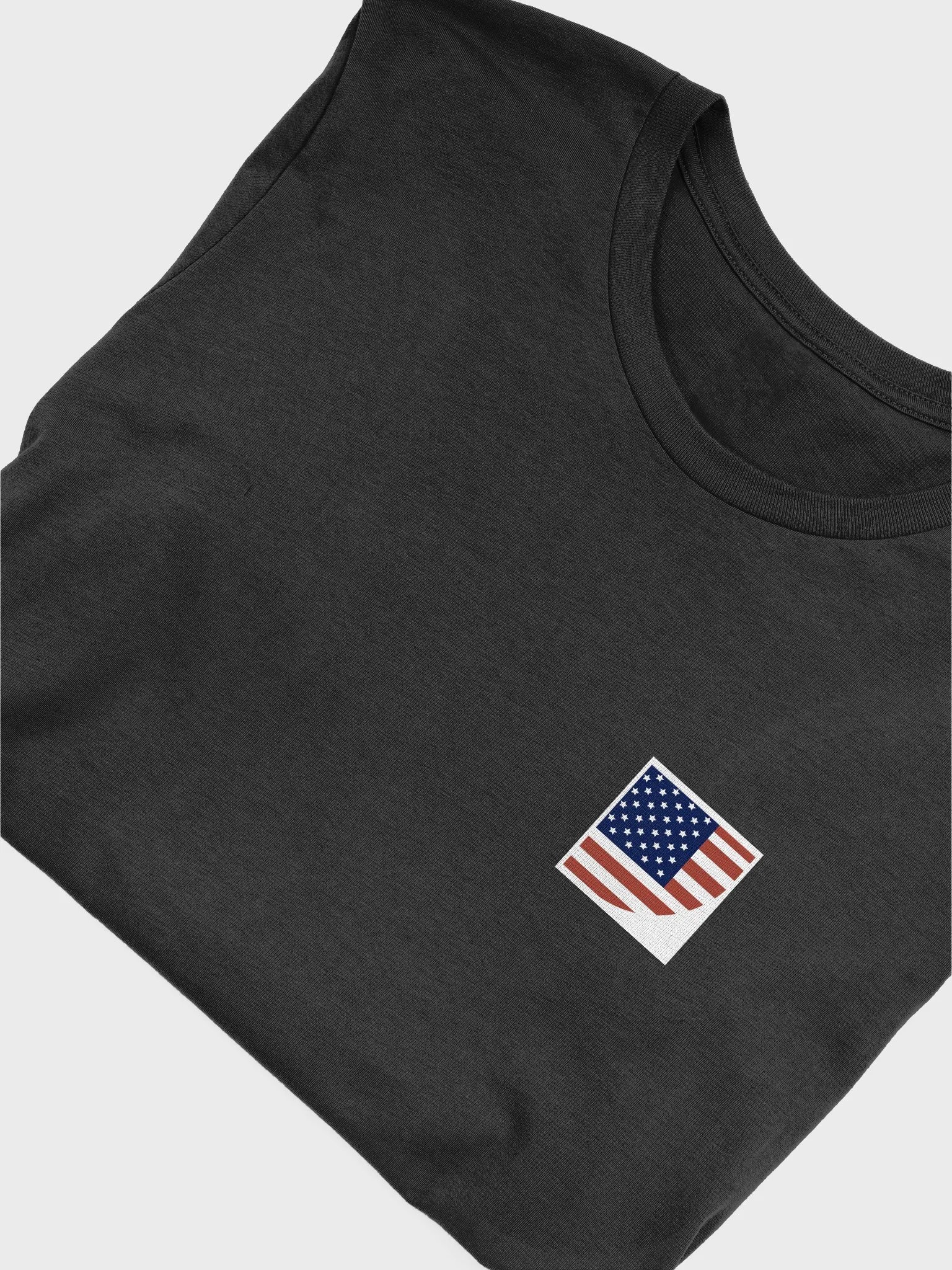 american formulafication official t-shirt - 100% cotton product image (6)