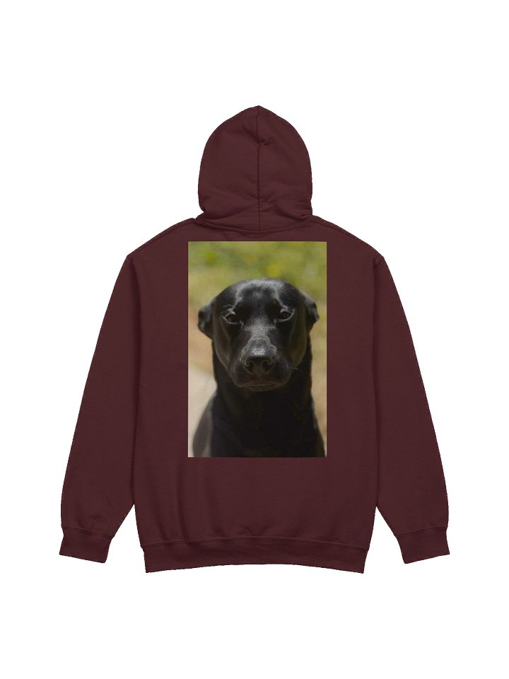 PN Classic Hoodie Limited product image (4)