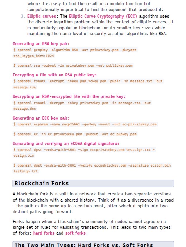 Blockchain Hacking, Development and Security Study Notes product image (5)