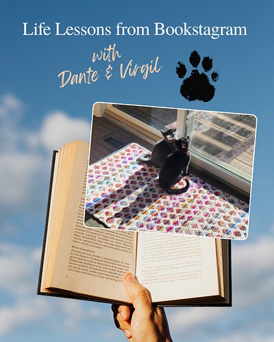 Life Lessons from Bookstagram

🐈‍⬛with Dante & Virgil🐈

“It's okay to be a follower. It's also okay if not all book trends or...
