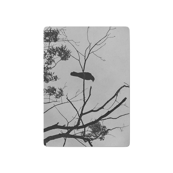 B&W Crow Playing Cards product image (1)