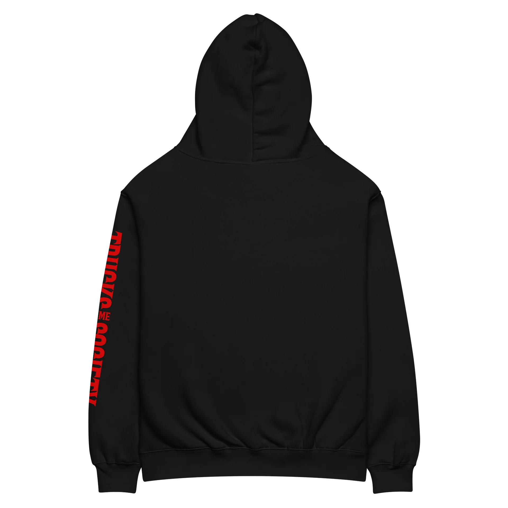 TRUCKSHOW STUNNER Oversized Hoodie product image (4)