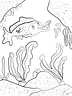 TSStechangel's World - Funky Fish Coloring Page