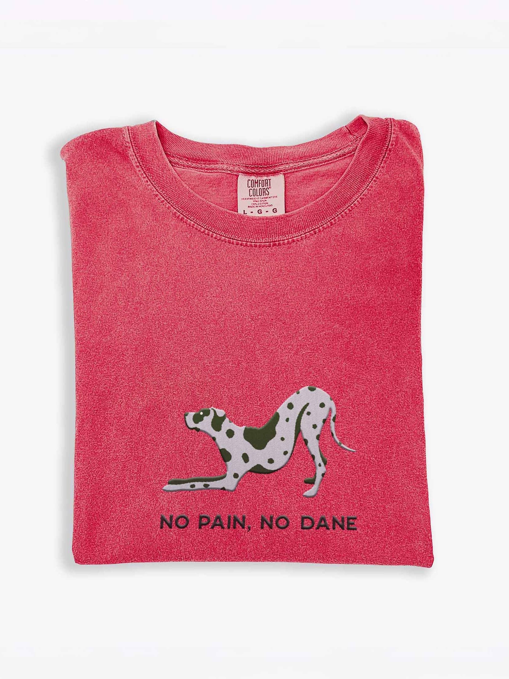 No Pain, No Dane T-Shirt(Embroidered) of a Great Dane(Blue Merle) product image (1)