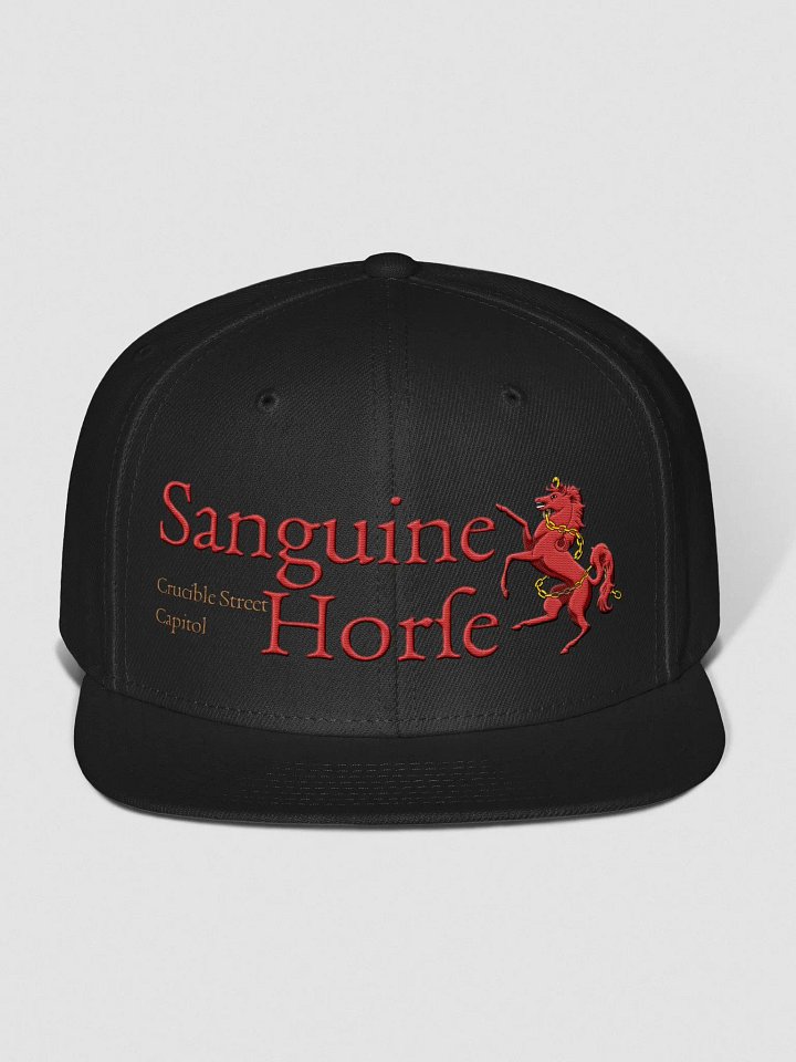 Sanguine Horse Logo snapback cap (gold address) product image (1)