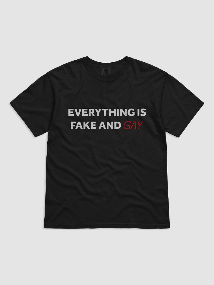 Everything Is Fake And Gay product image (1)