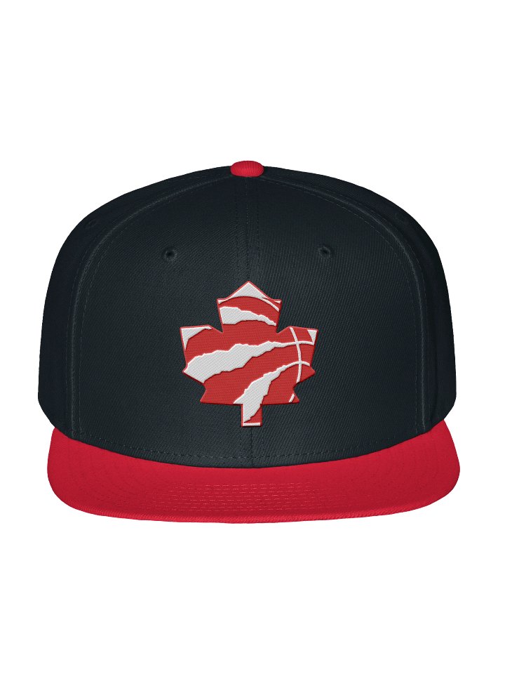 Toronto Dinos Snap product image (1)