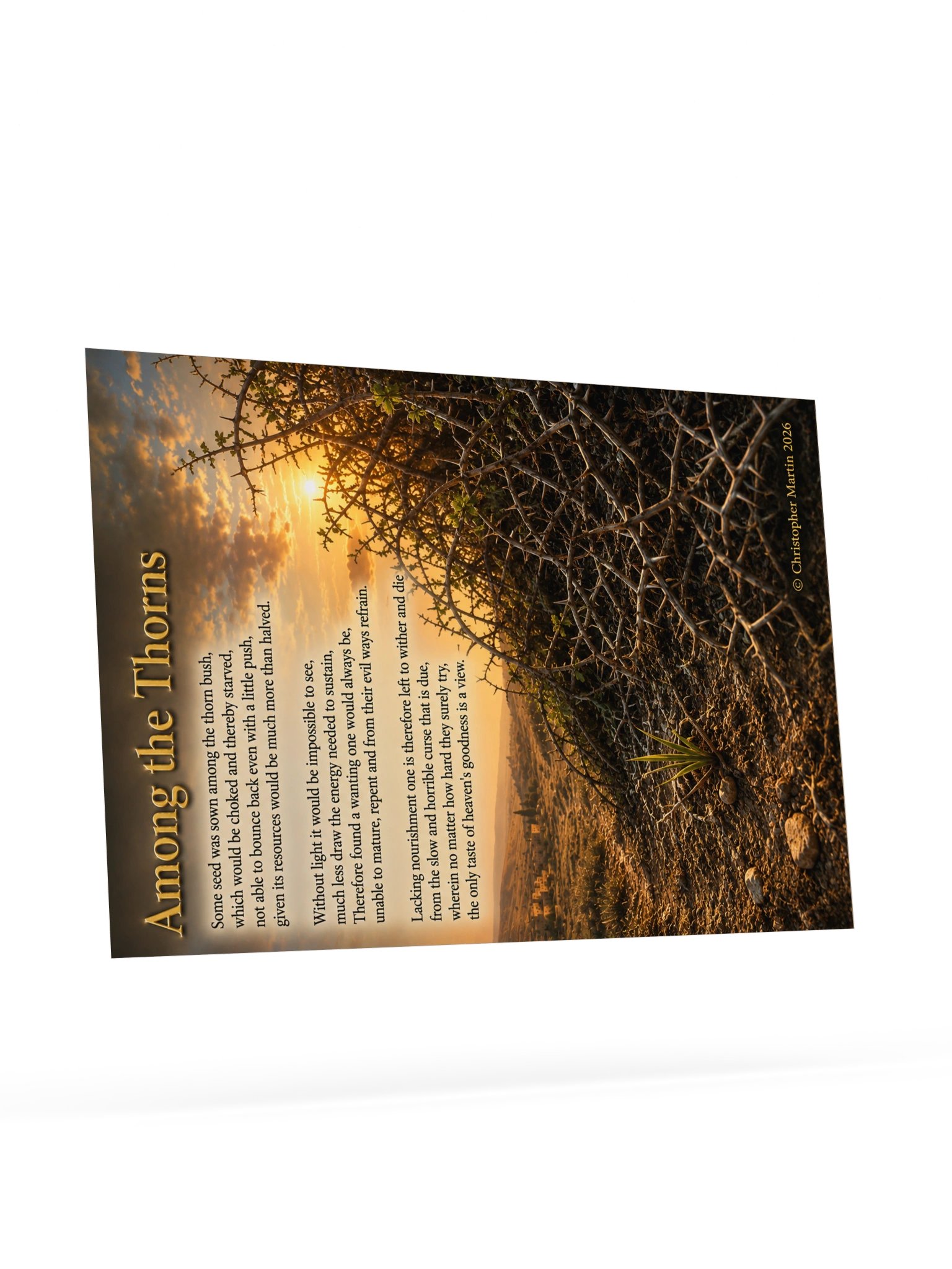 Among thorns product image (9)
