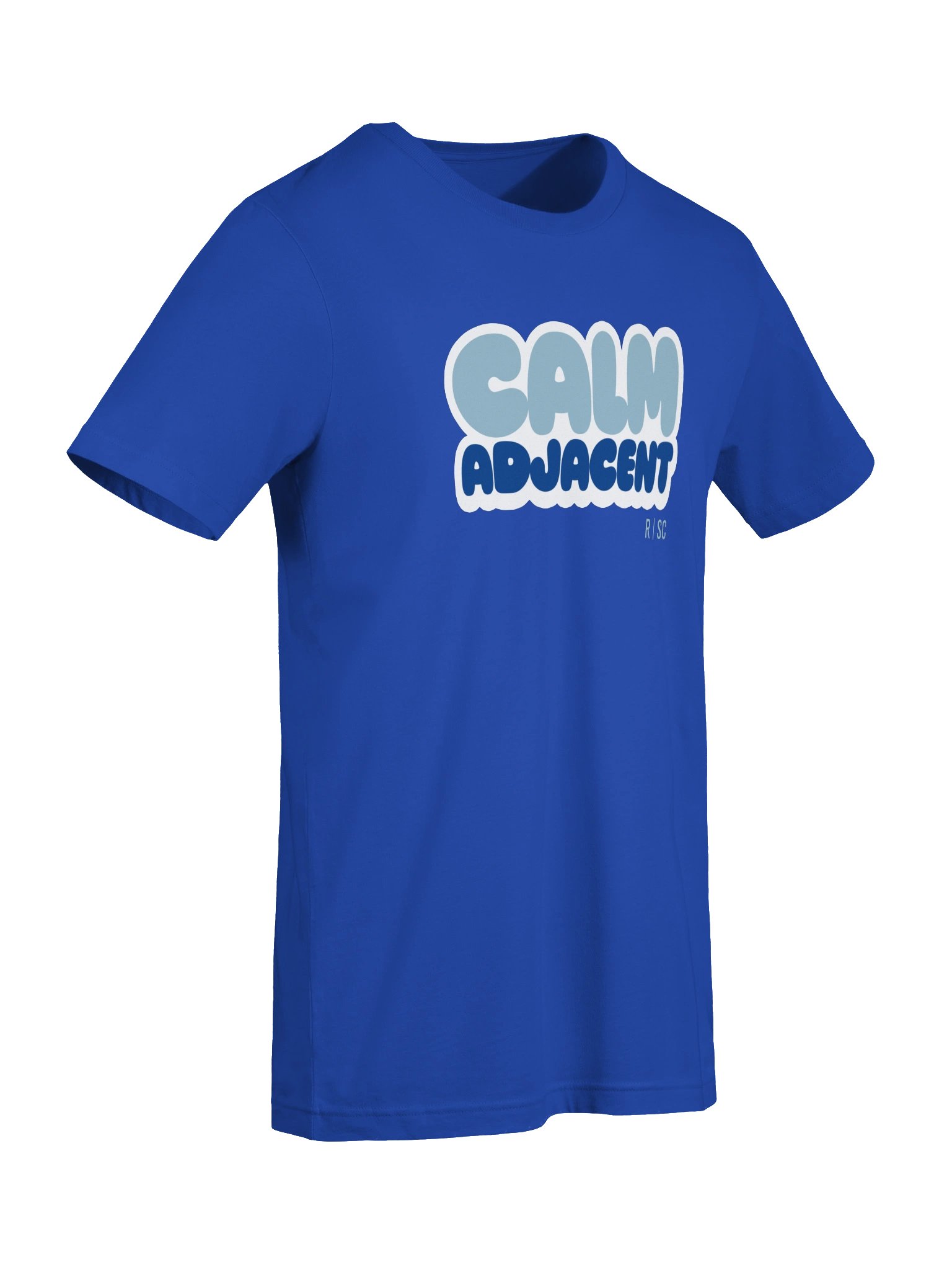 Calm Adjacent T-shirt (Blue) product image (57)