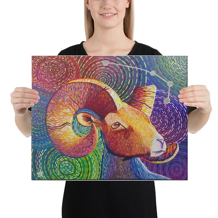 Aries Aurora product image (2)
