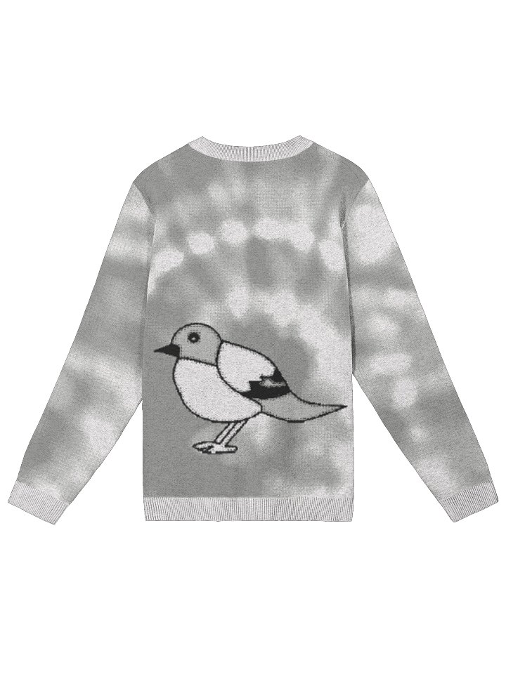 Bird Graphic Tie-Dye Sweater - Classic Fit product image (2)