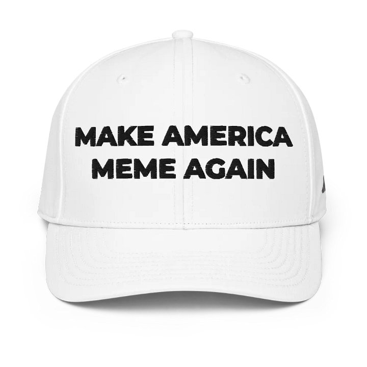 MAKE AMERICA MEME AGAIN SNAPBACK product image (1)