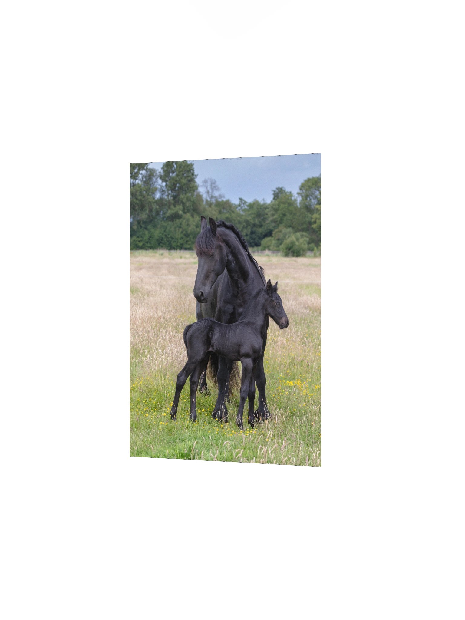 Reintje & Dolly product image (2)