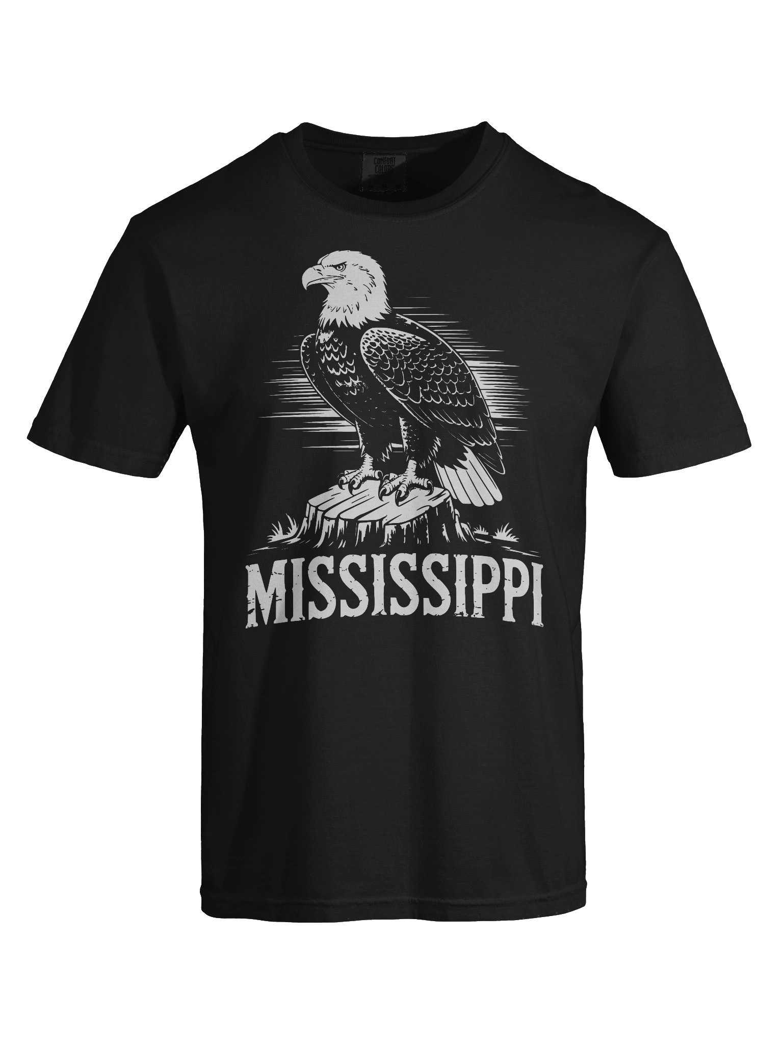 Mississippi Eagle T-Shirt | Vintage Southern State Pride Tee product image (5)