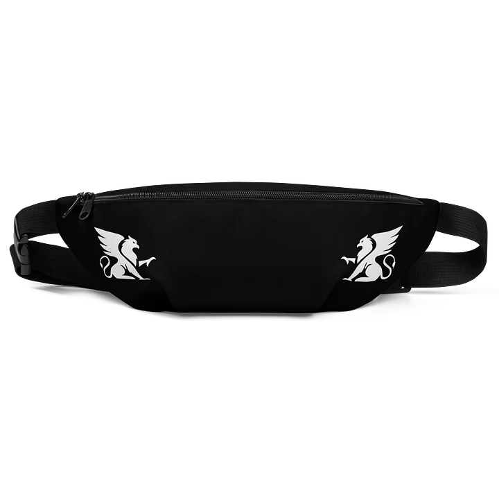 BITCHIN BELT BAG product image (1)