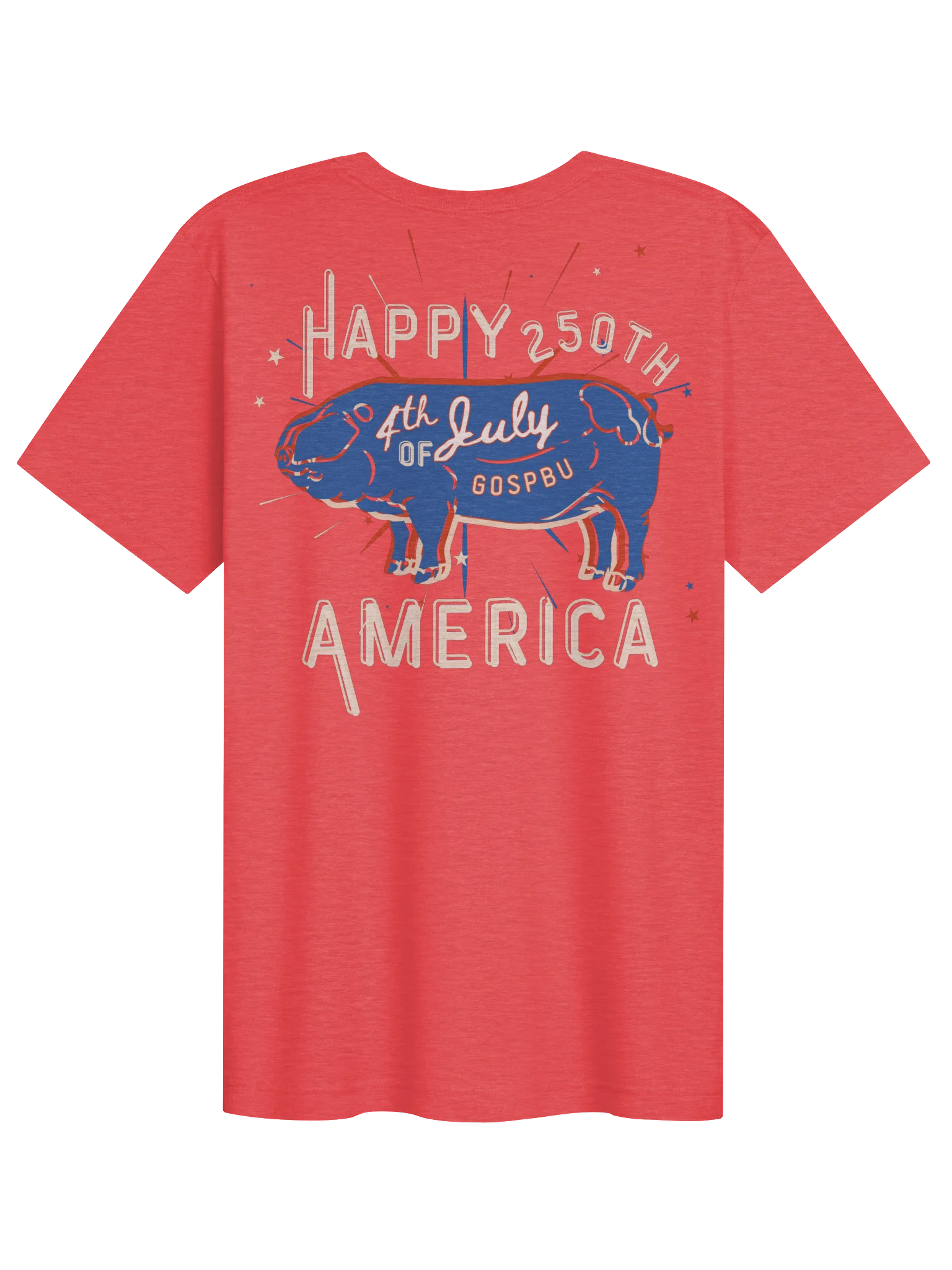 Happy 250th 4th of July Pig Tee product image (2)