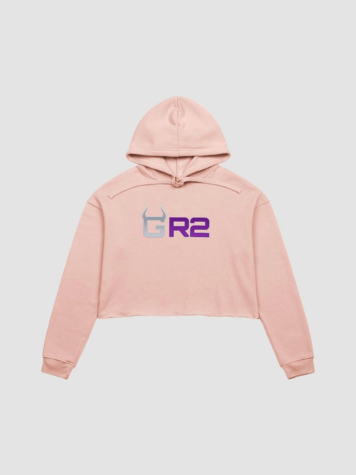 Crop hoodie product image (2)