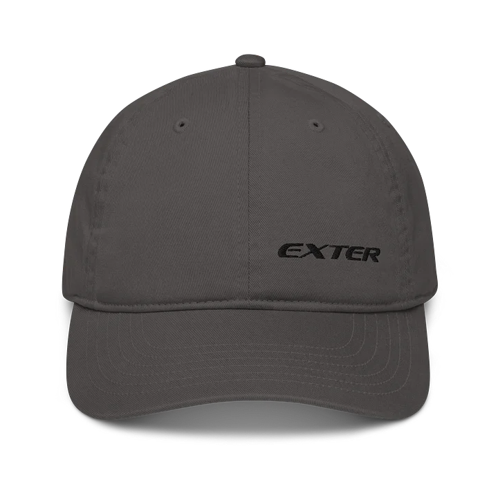 DAD HAT product image (7)