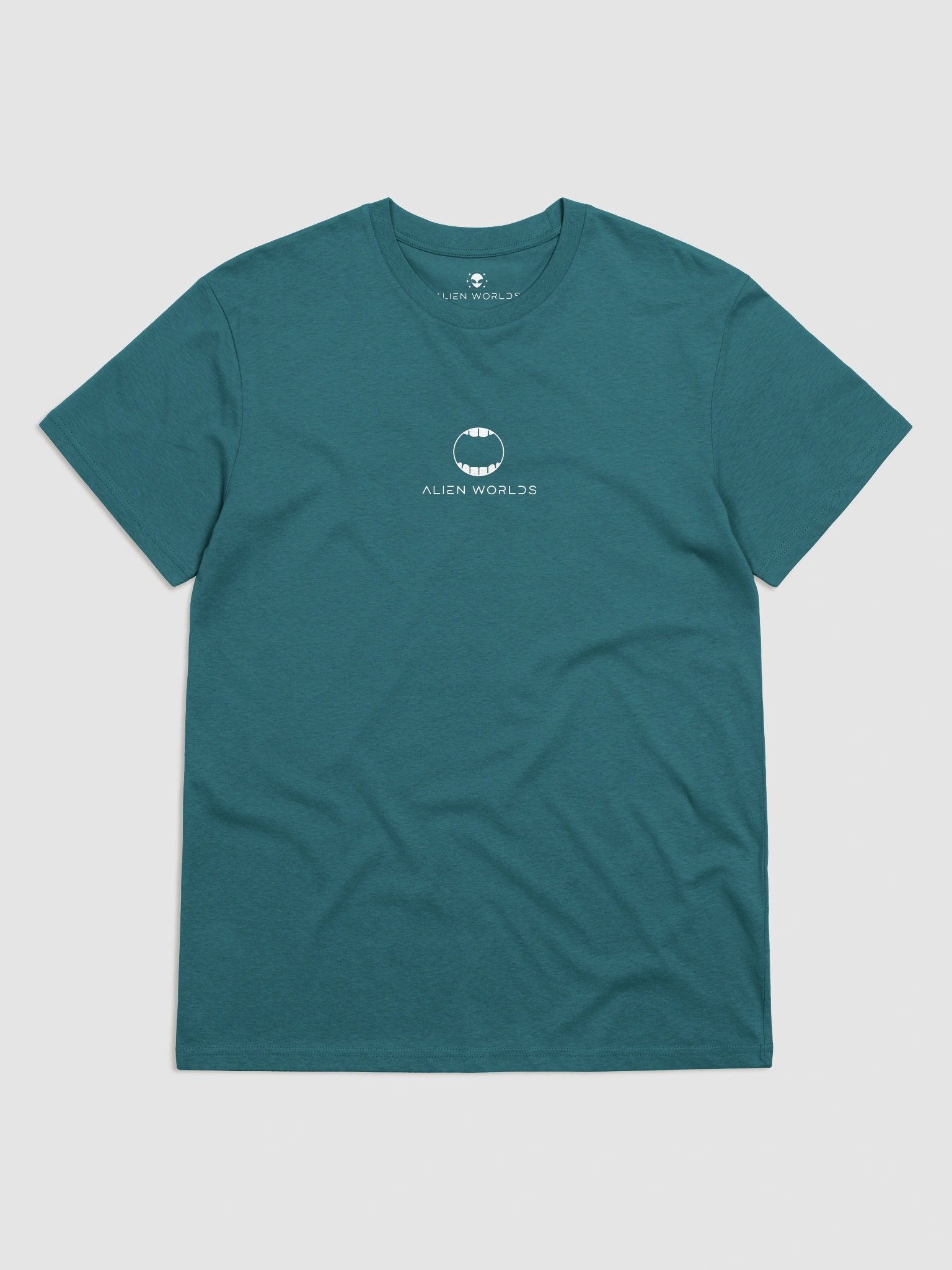 SHAME IS A TEE product image (3)