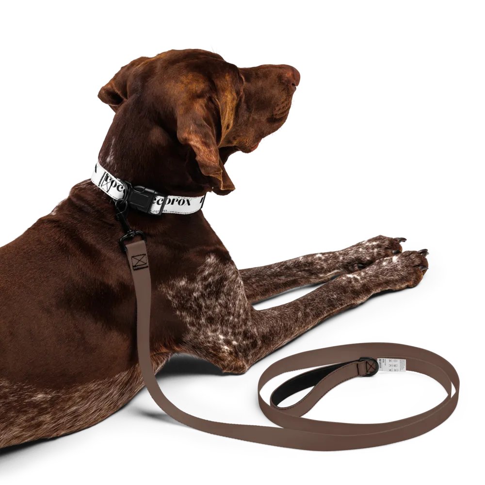 RoccoRox Dog Collar White Size Large product image (10)