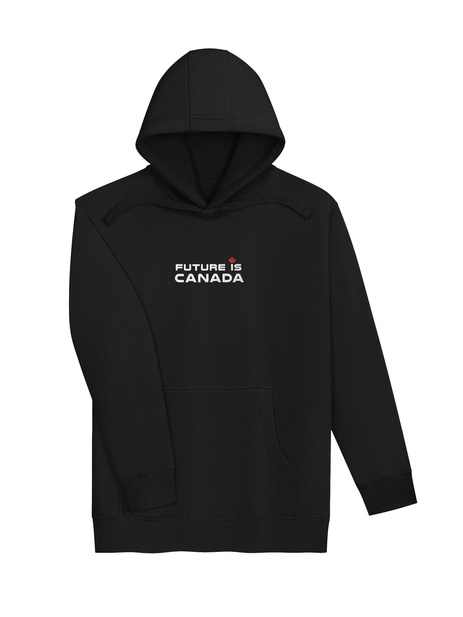 Future is Canada - Embroidered Hoodie product image (3)