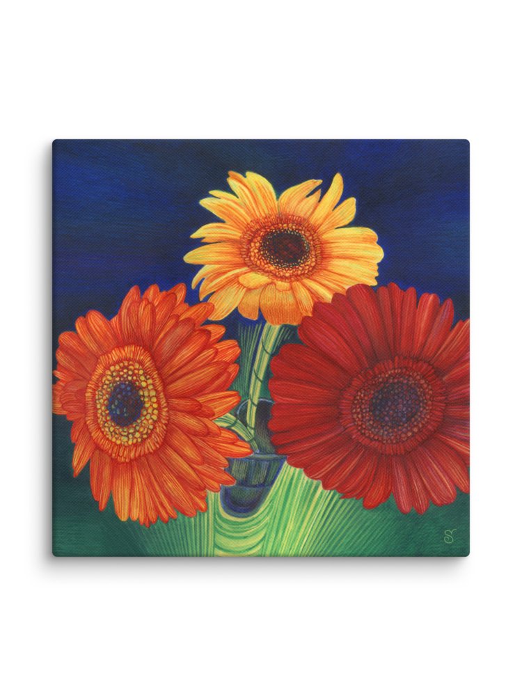 Blank Canvas Collection - Bright Gerberas product image (2)