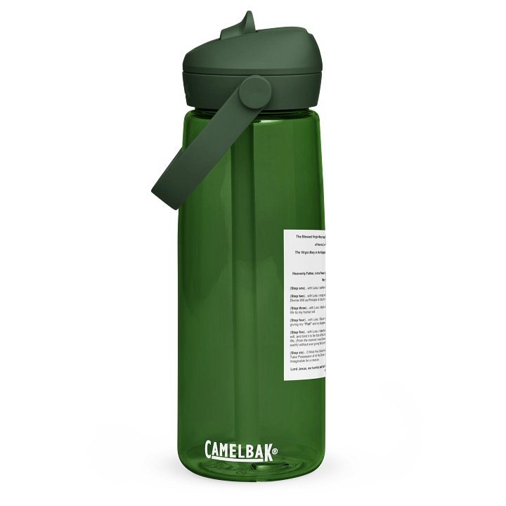 Divine Will Six Steps of Living In the Divine Will - CamelBak Water Bottle product image (1)