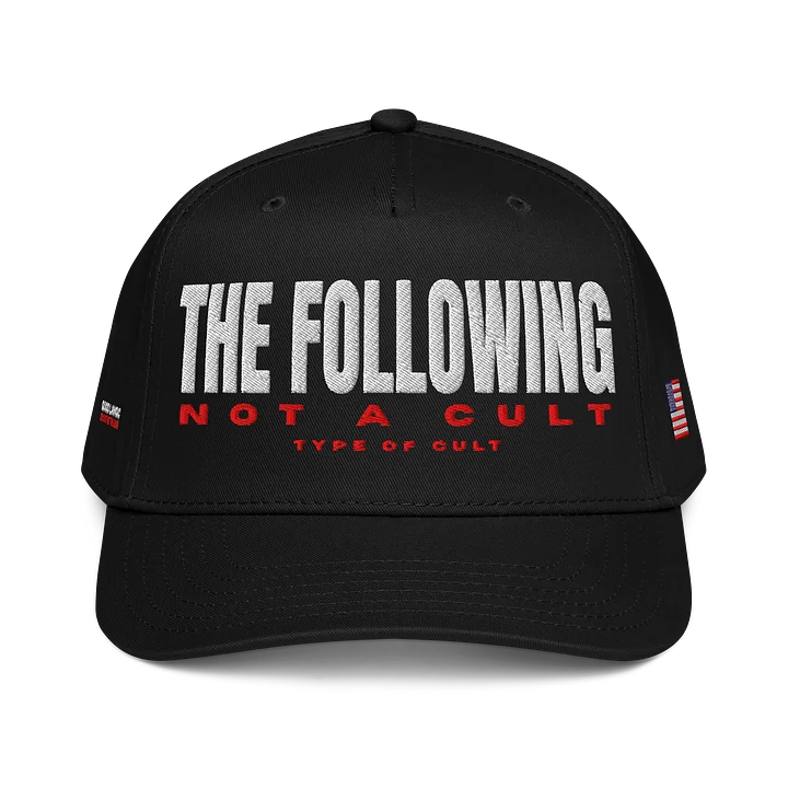 The Following Embroidered Hat product image (1)