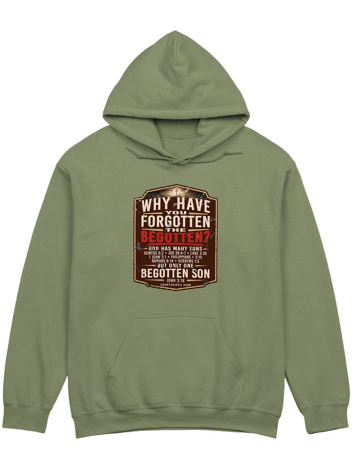 Why Have You Forgotten The Begotten Hoodie product image (1)