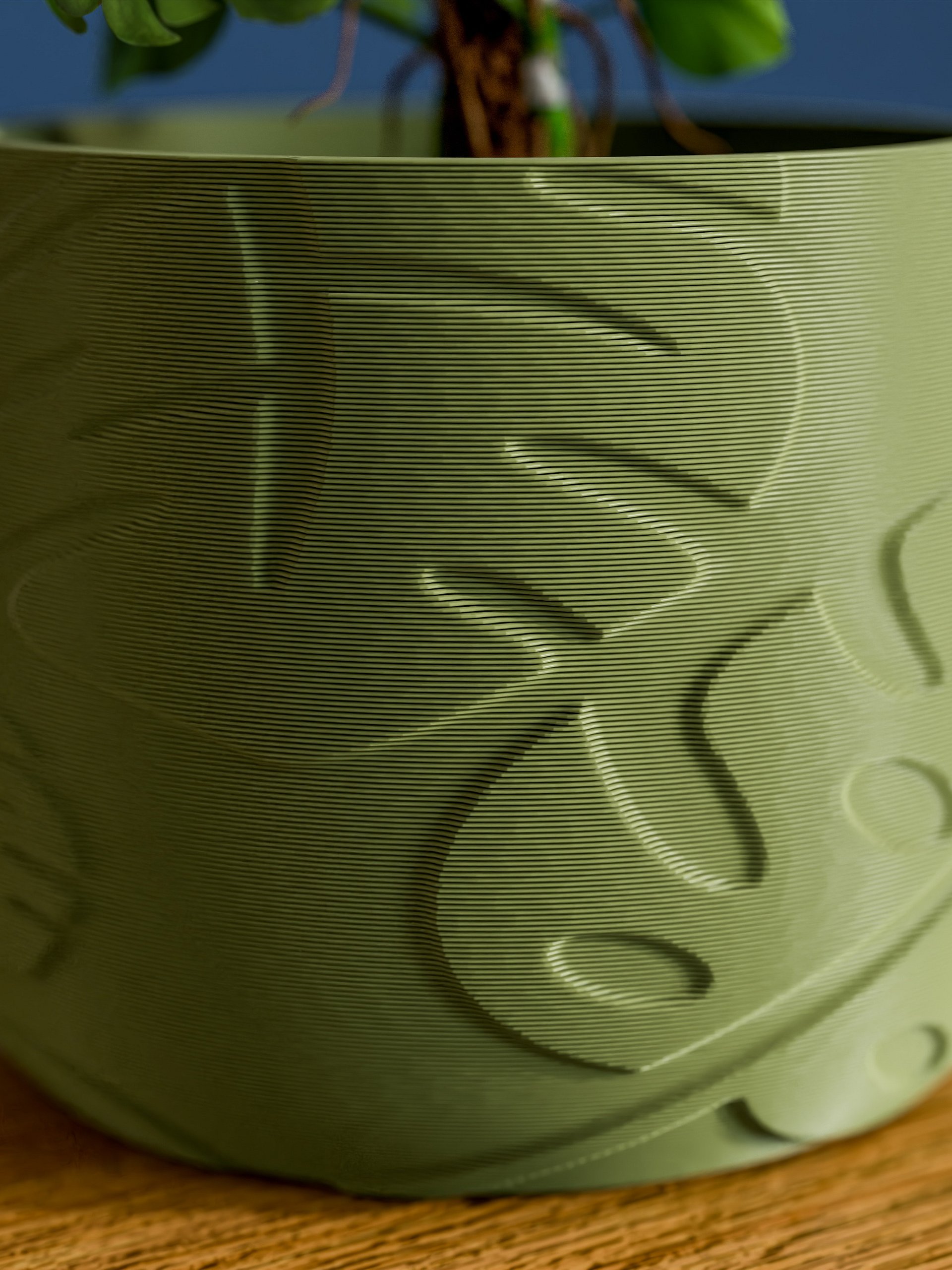 Indoor Plant Pot with Monstera Texture product image (4)