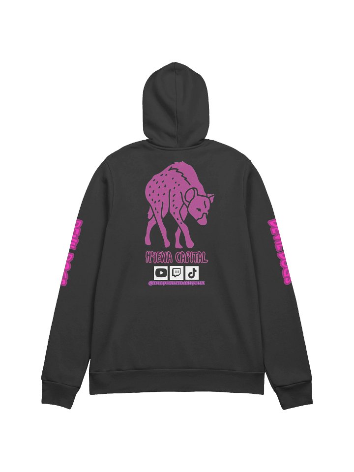 Hyena Capital Stylized Hoodie product image (2)