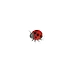 Sticky Bugs - Ladybird
