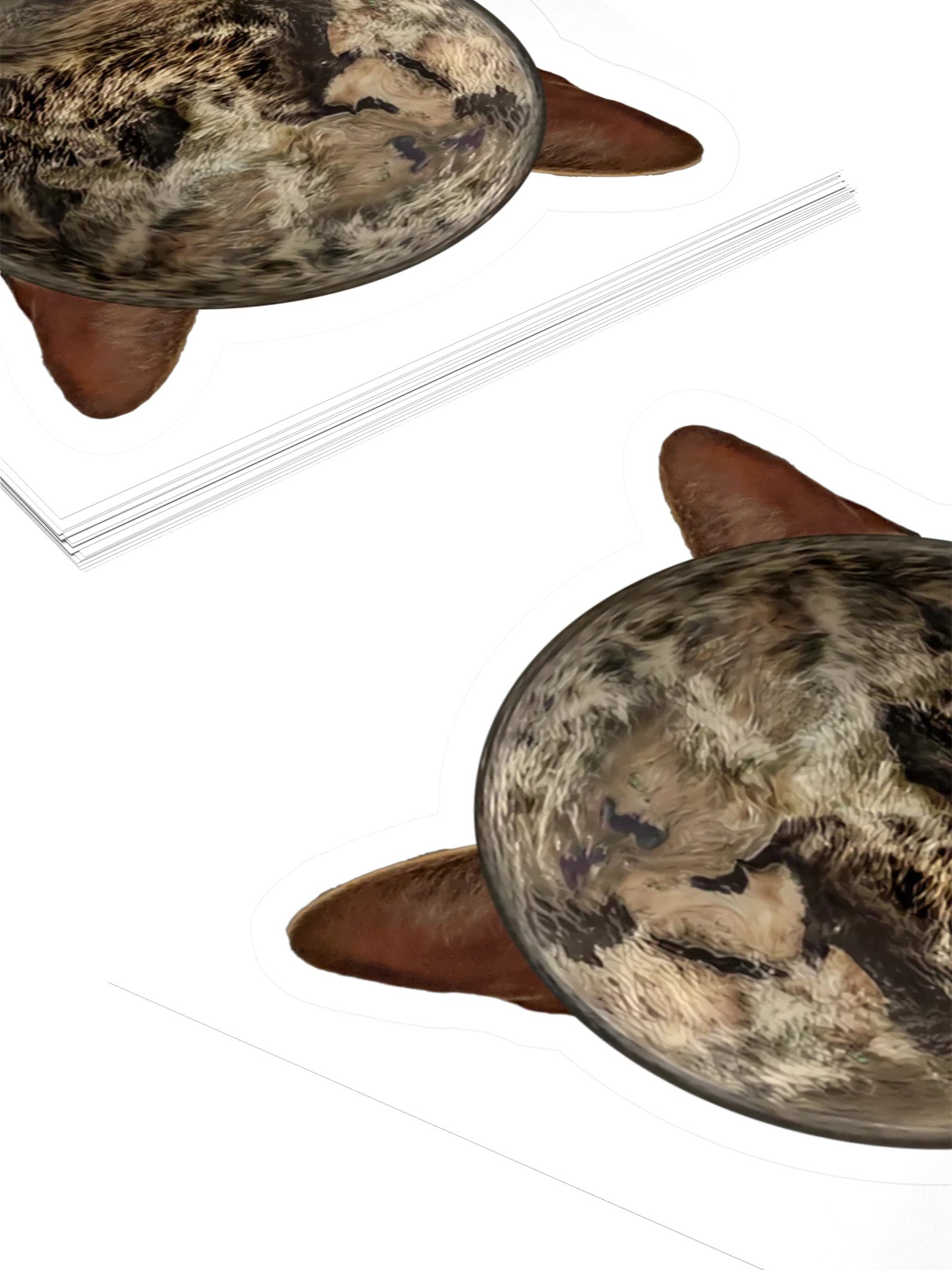 Cat Earth — Sticker product image (4)