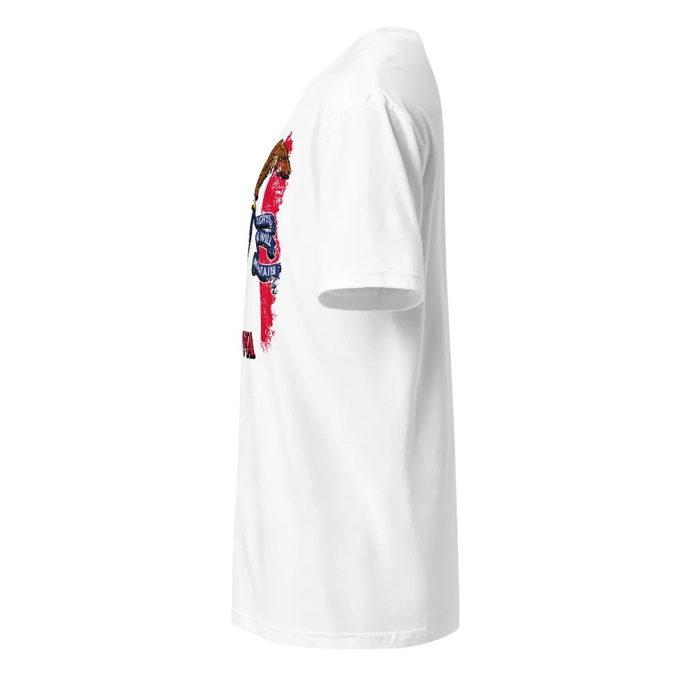 Iowa State Flag product image (3)
