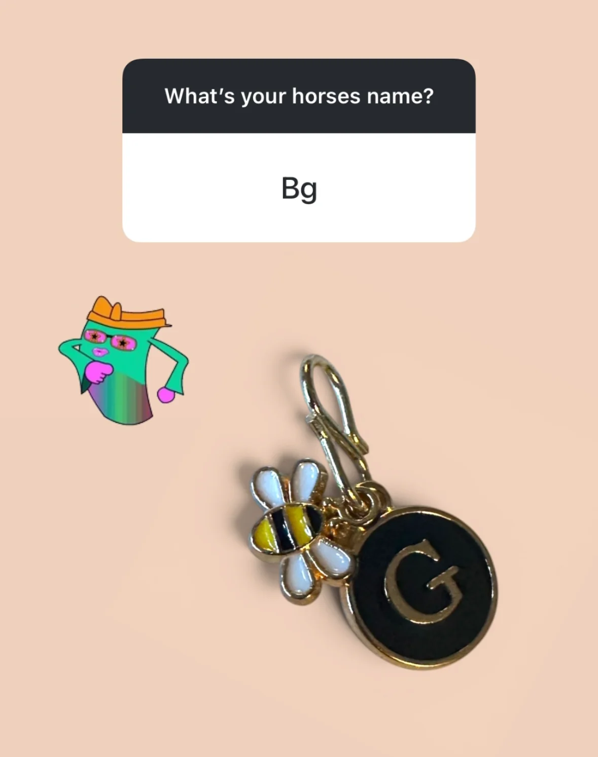 CUSTOM Whinny Winners Braid and Bridle Charms for Horses | Little Shop of Ponies product image (3)