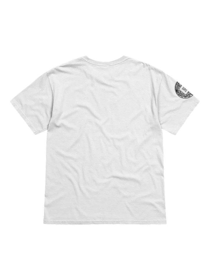 False Professions (Black on White/Color) product image (2)