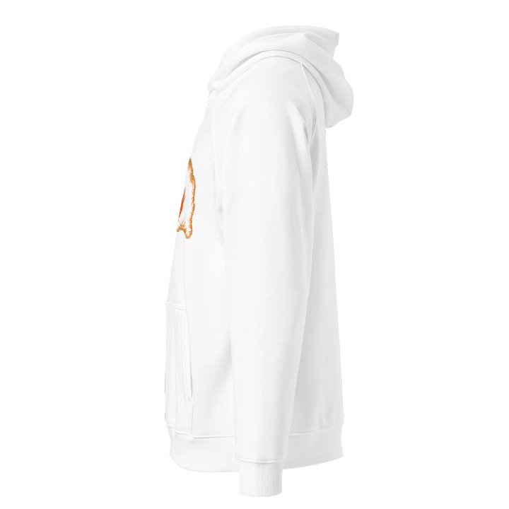 Dragon's Fury Eco Raglan Hoodie product image (2)