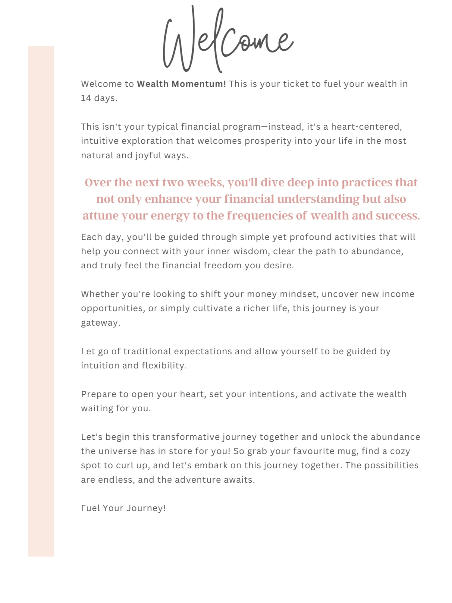 Wealth Momentum: Abundance Journey product image (2)