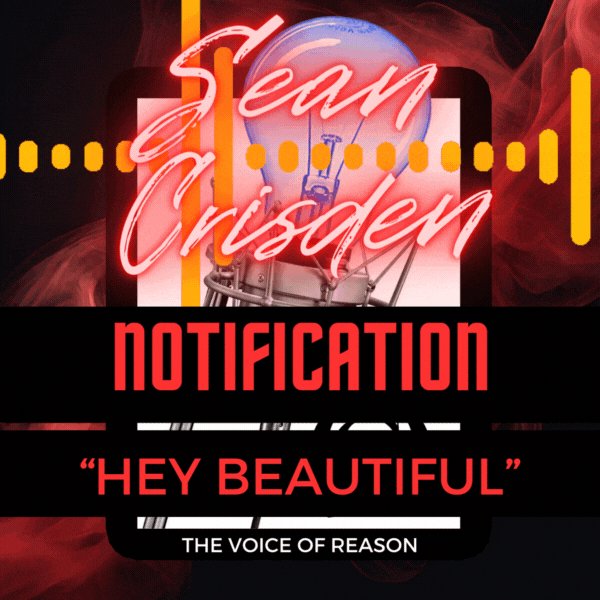 Audio Notification - 