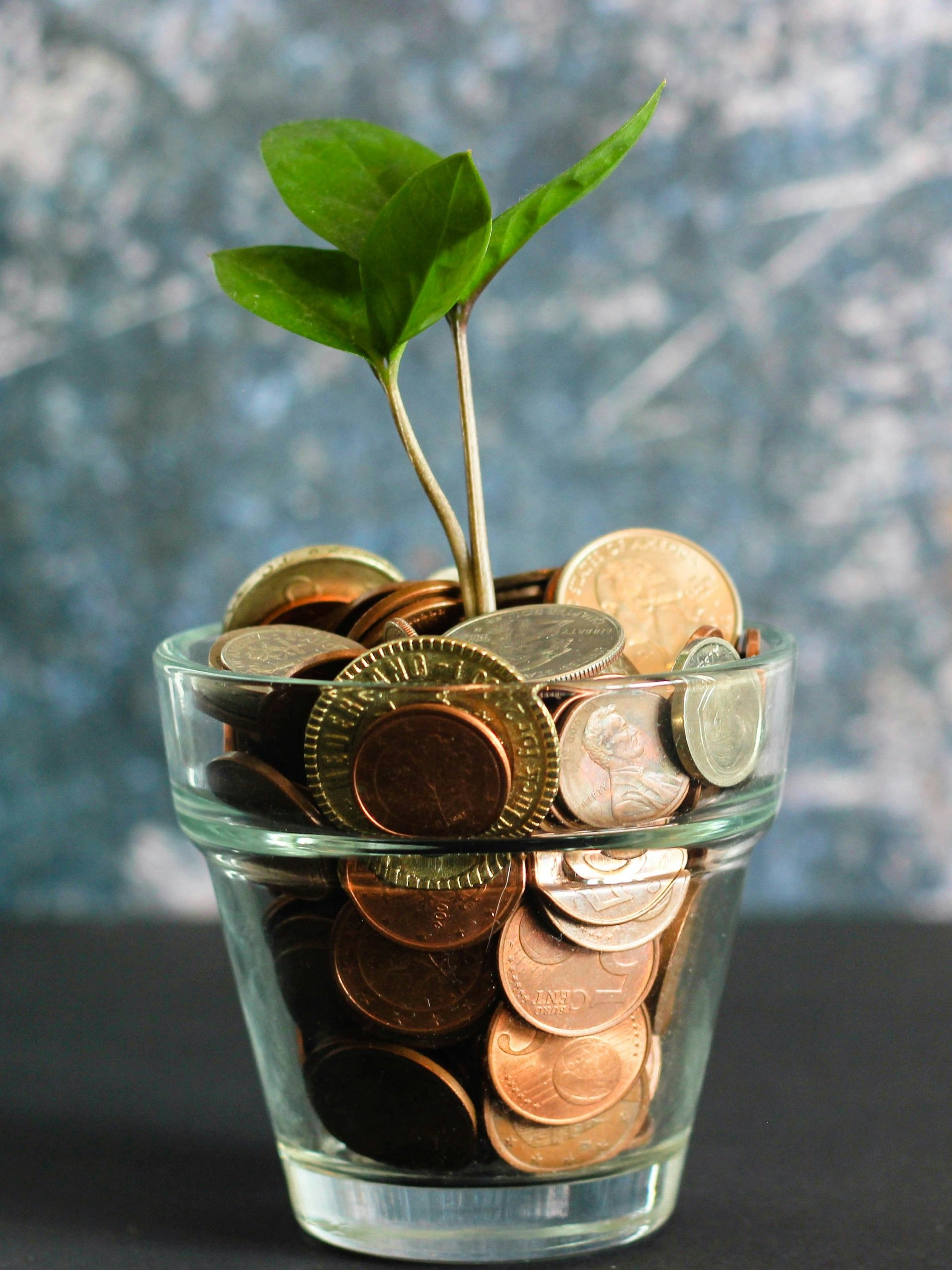 The Adulting Architect Money Toolkit product image (1)