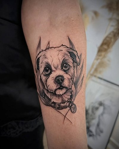 a dOg caLLeD bUddY

#dog #dogs #dogtattoo