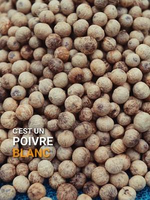 Tu veux un poivre blanc mais tu DÉTESTES l'odeur animale ? Écoute ça ! 🤯🇸🇹🇰🇭 ​On me demande souvent : 