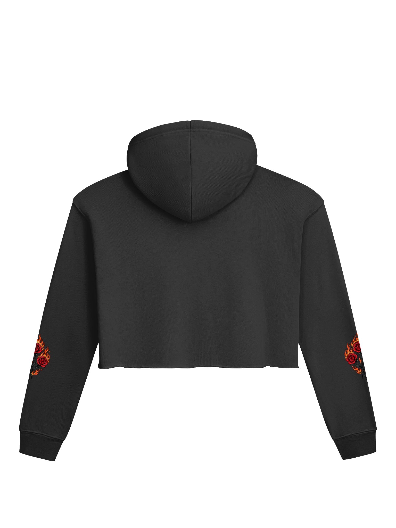 L4L Set the Legacy Ablaze Crop Hoodie product image (2)