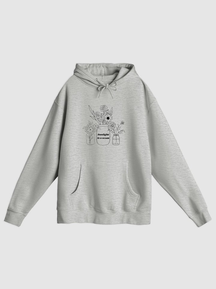 Sunlight is a Scam Hoody product image (1)