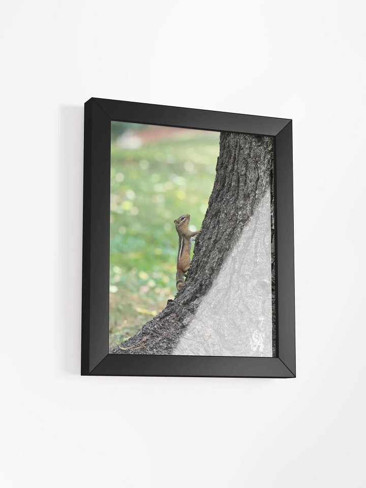 Squirrel print product image (9)