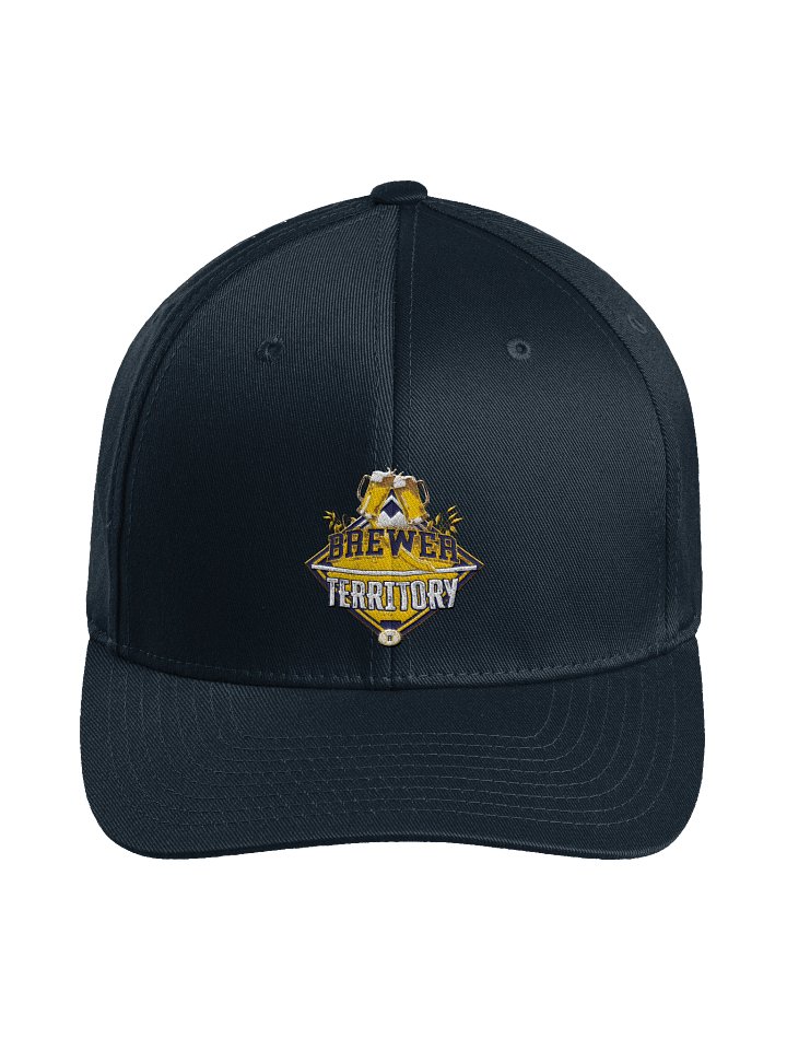 Fitted Hat product image (6)