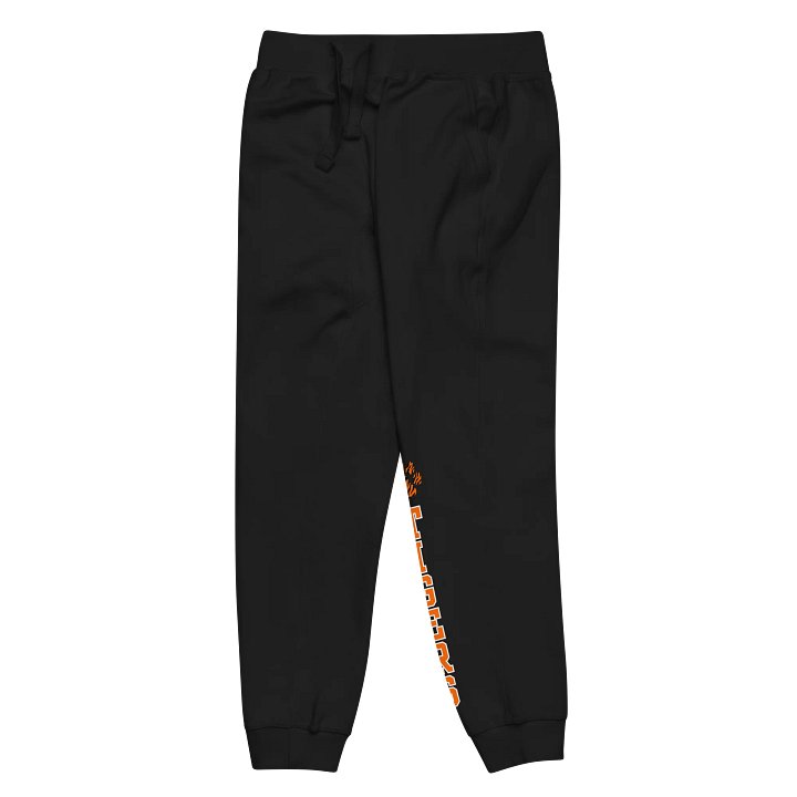 Tiger Paw Vertical Joggers product image (2)