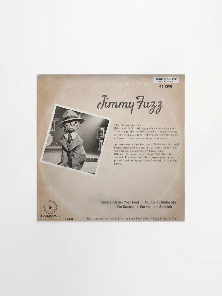 Jimmy Fuzz poster - Under Your Feet album jacket (back) - 12