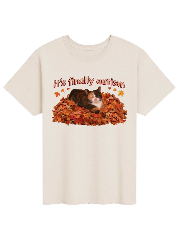 It's Finally Autism Autumn Cat T-shirt product image (1)