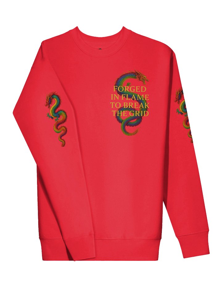 🐉 Colourful Dragon – Premium Flame Hoodie Luxury loungewear. Soul-coded armour. product image (71)